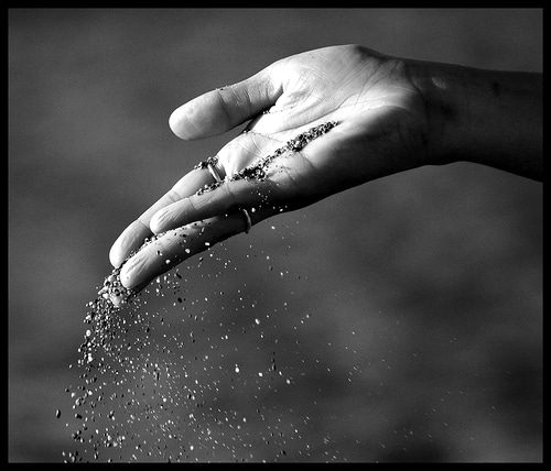 Letting Go, Gaining Peace: How PAL Helped Me Heal as a Parent